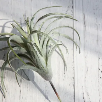Искусственное растение, имитирующее траву, Фруктовая трава, домашний офис, Пластиковое украшение из искусственных растений